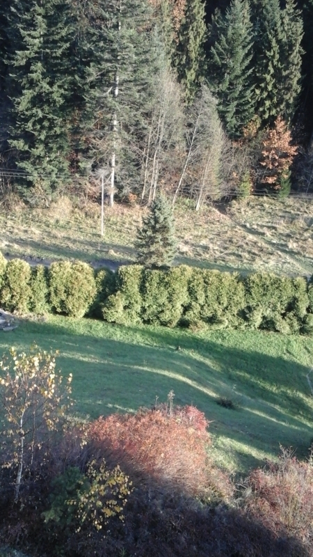20161104_142927
