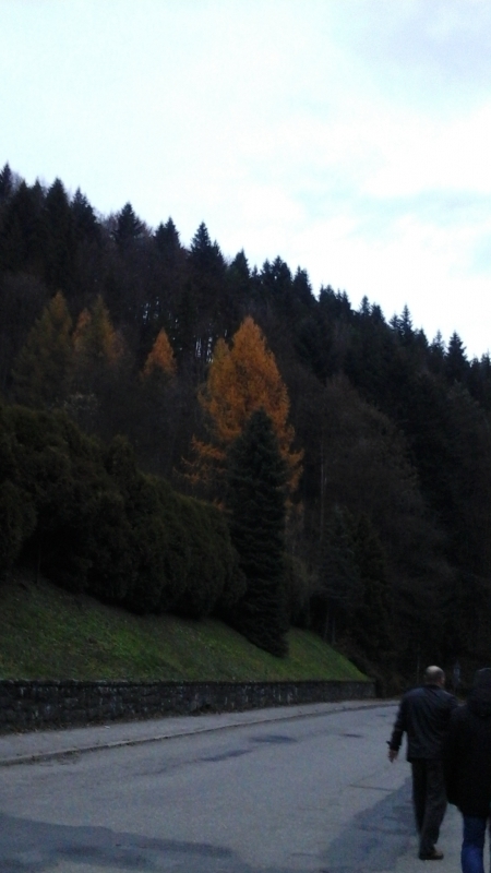 20161105_160227