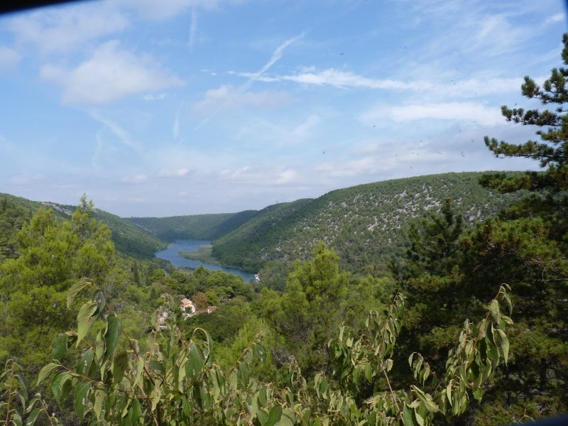 P1070419
