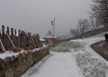 dsc00981