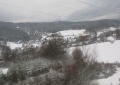201311305081